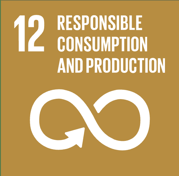 SDG 12 Responsible Consumption