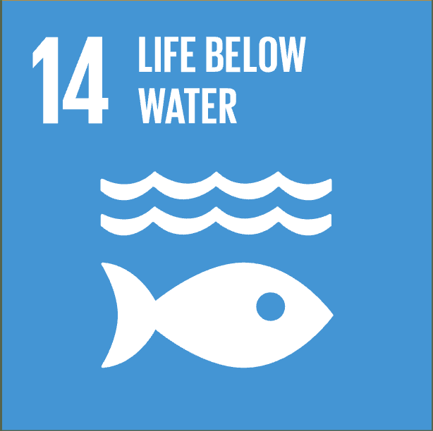 SDG 14 Life Below Water