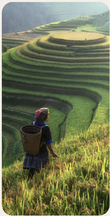 Farmer spraying crops