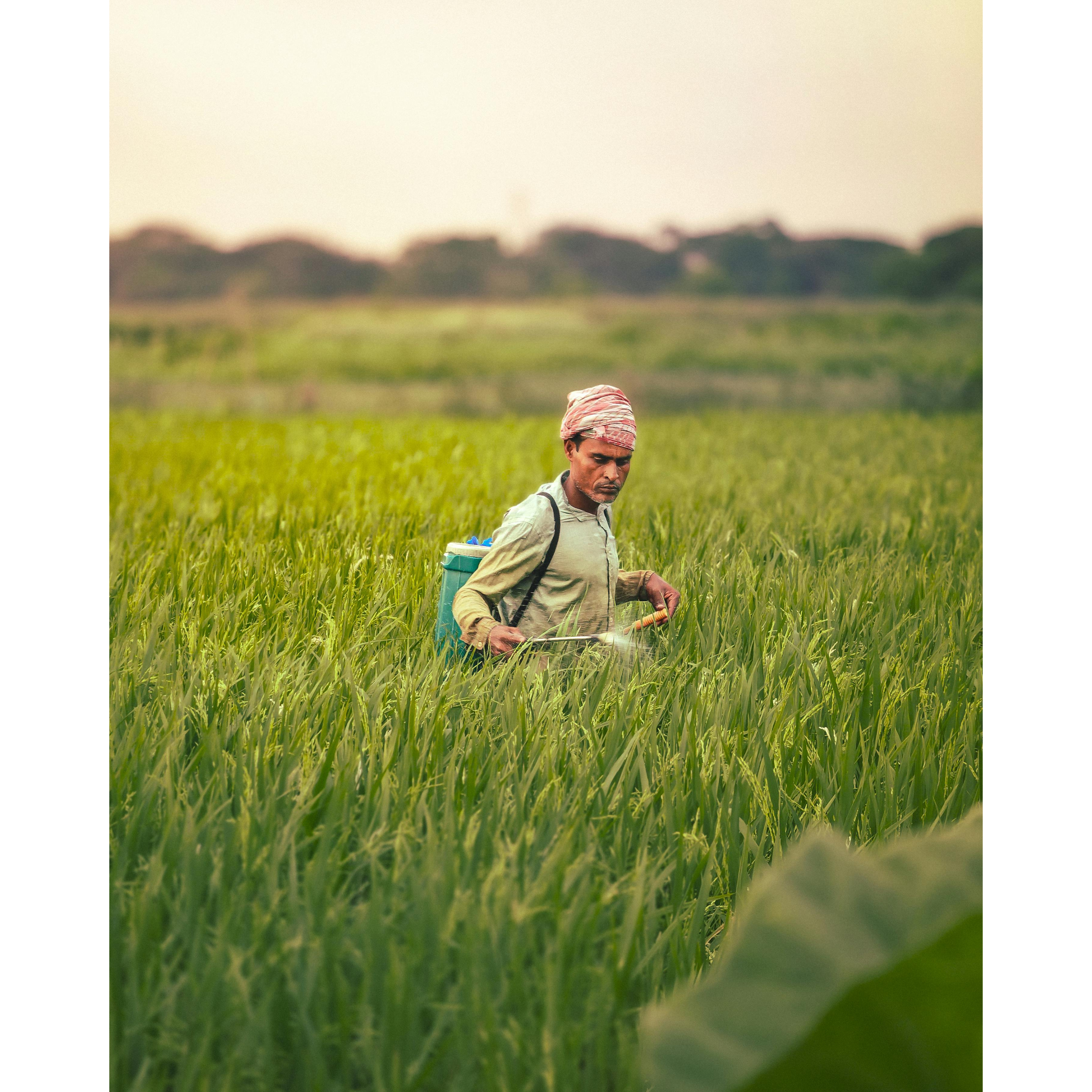 Farmer spraying crops