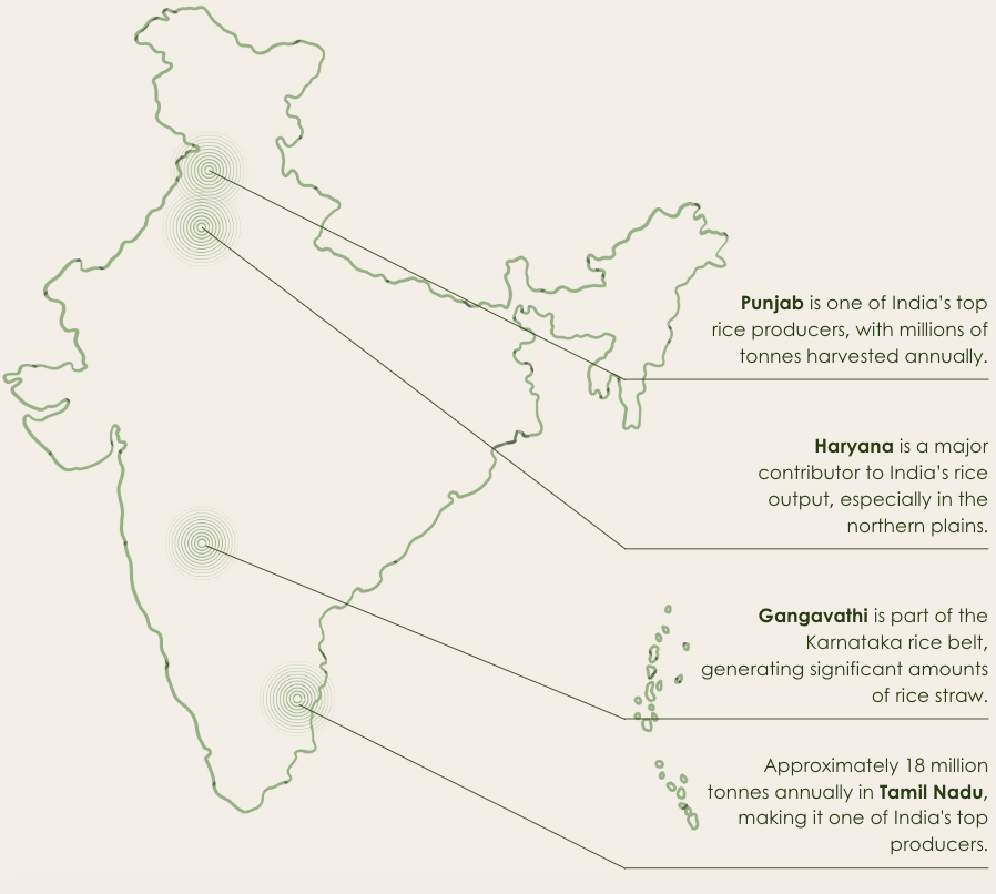 Map of India highlighting regions of rice production